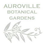 Logo Auroville Botanical Gardens